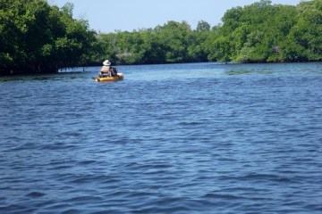 Kayaker on the large Manatee River in Bradenton, Florida