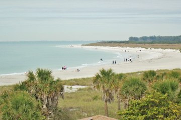 Florida Island beach with green vegetation, white sandy beaches and blue water